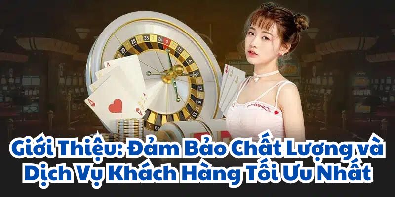 Giới Thiệu: Đảm Bảo Chất Lượng và Dịch Vụ Khách Hàng Tối Ưu Nhất